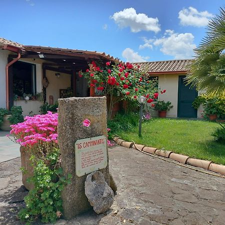 B&B Is Camminantis Nurallào Екстериор снимка