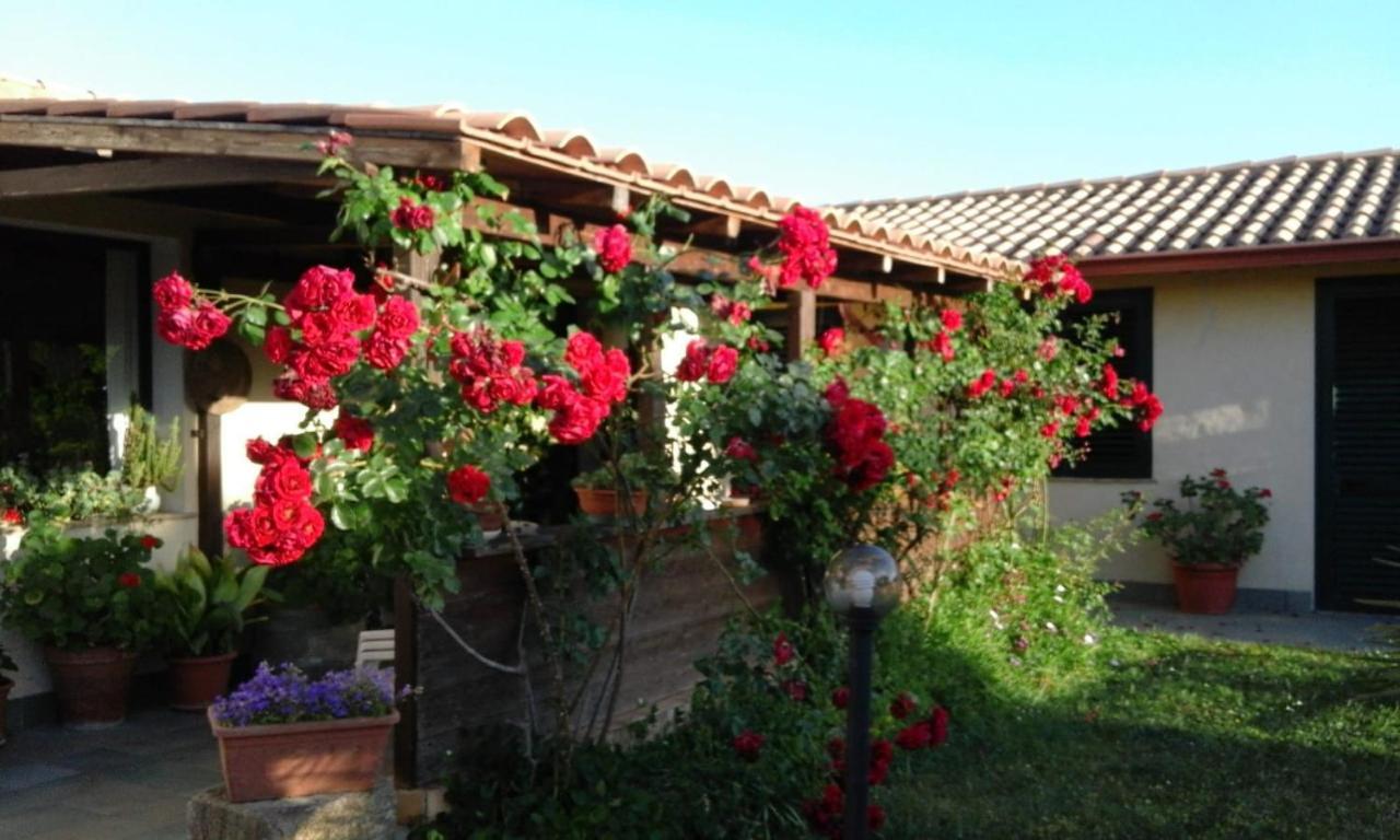 B&B Is Camminantis Nurallào Екстериор снимка